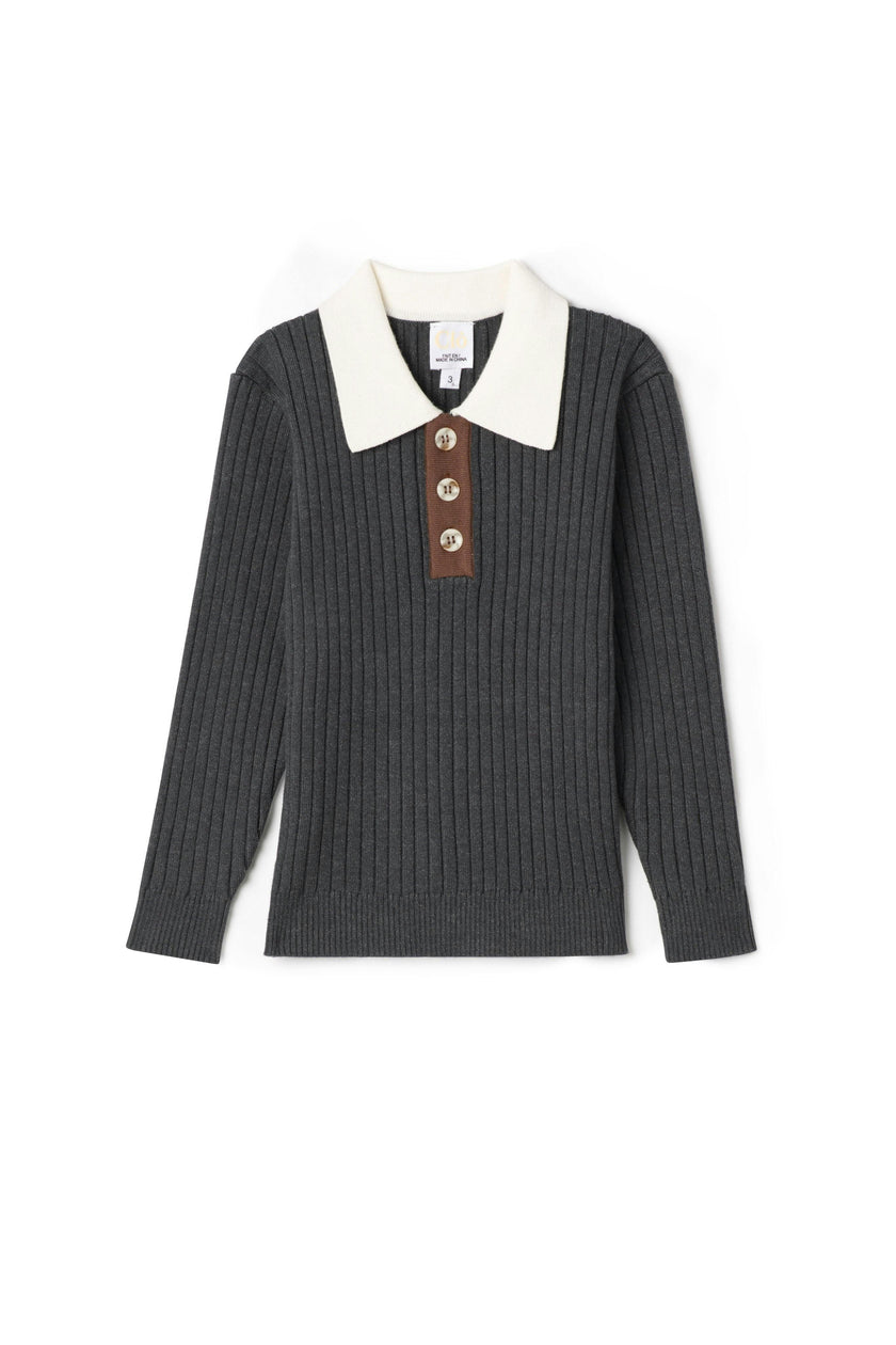Multi Sweater Ribbed Button Front Polo Shirt