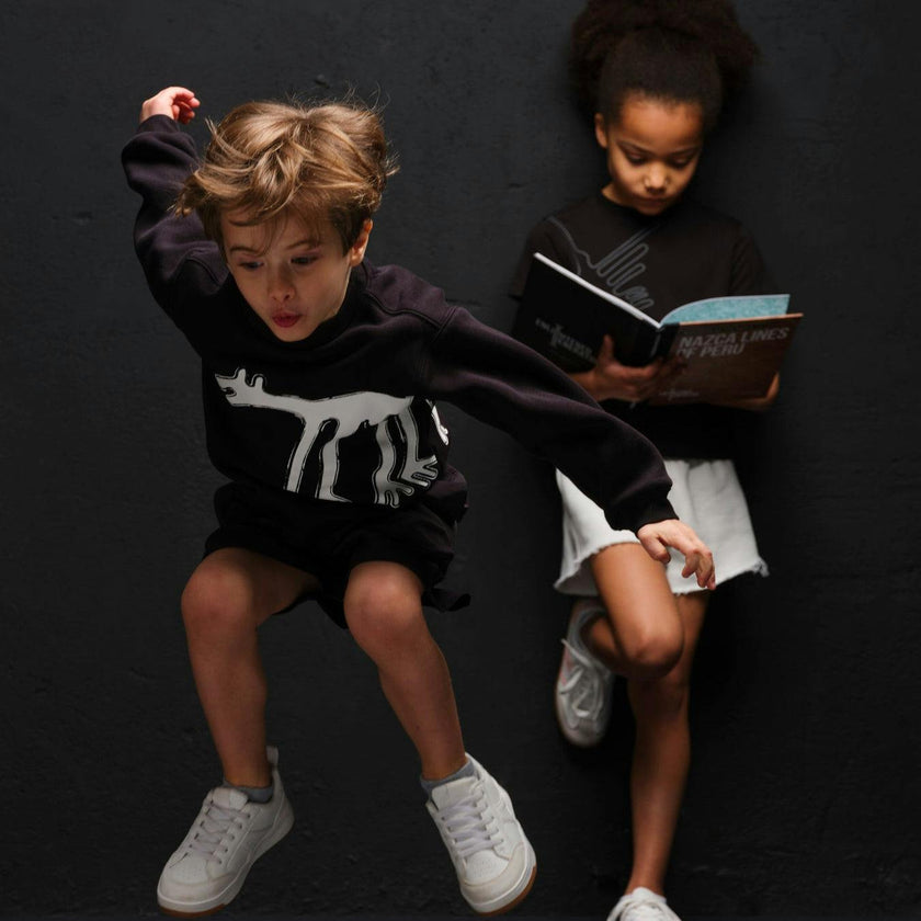 Nasca Gift Box with Desert Dog Explorer Kids Sweatshirt, Book, and Activities