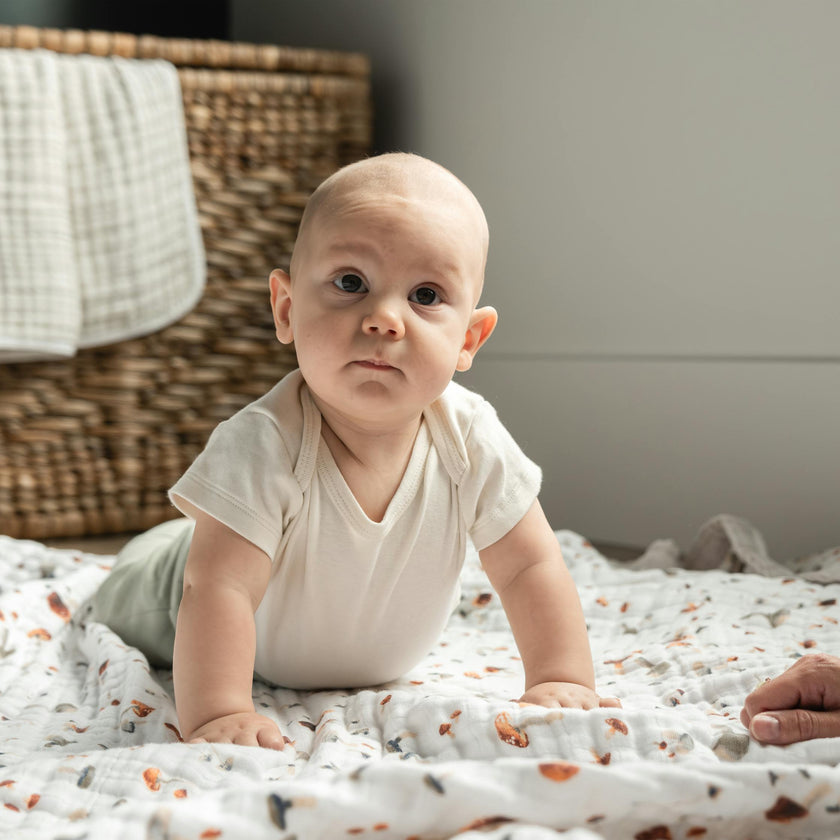 Cotton Muslin Quilted Throw - Mushrooms