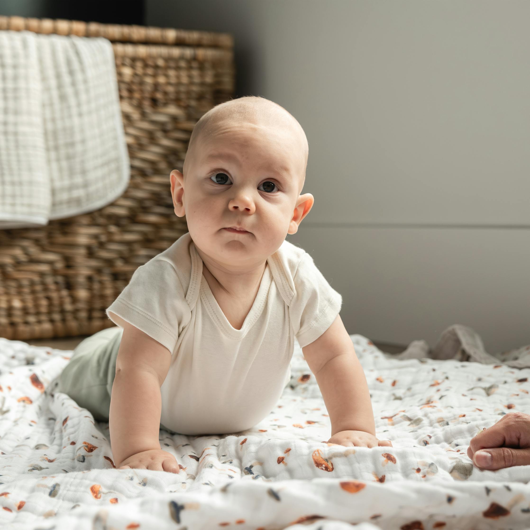 Cotton Muslin Quilted Throw - Mushrooms