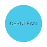 Shades Cerulean Dinner Plates