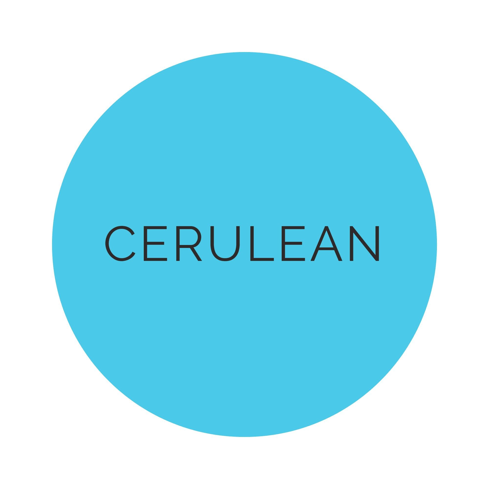 Shades Cerulean Dinner Plates
