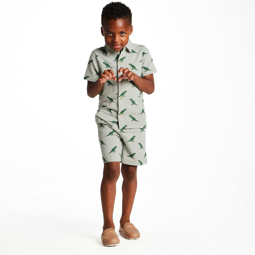 Boys Short Sleeve Cabana Set | Green Stripe Dino
