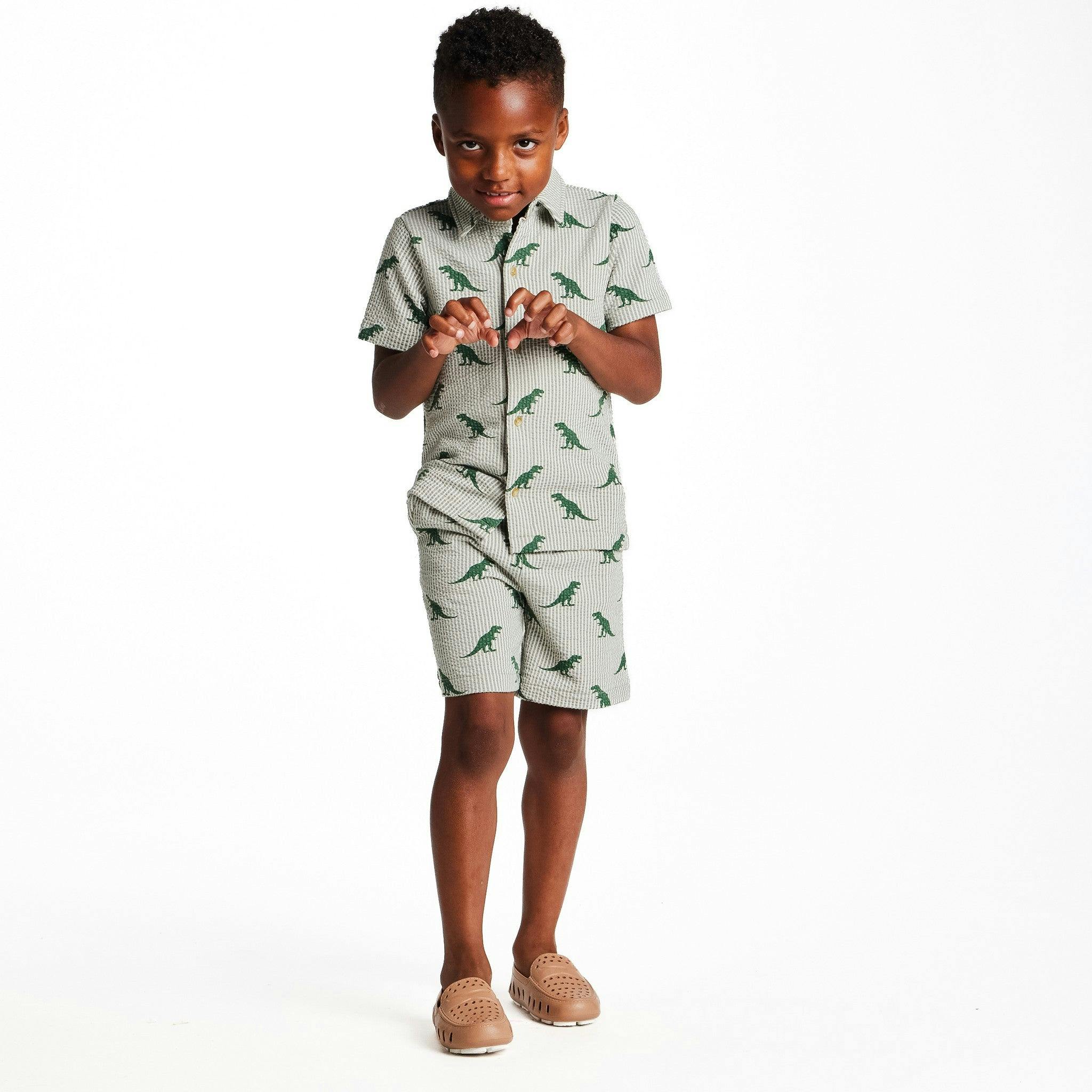 Boys Short Sleeve Cabana Set | Green Stripe Dino