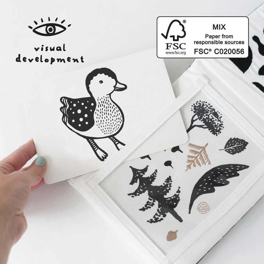 Developmental Bundle for Baby - Acorn