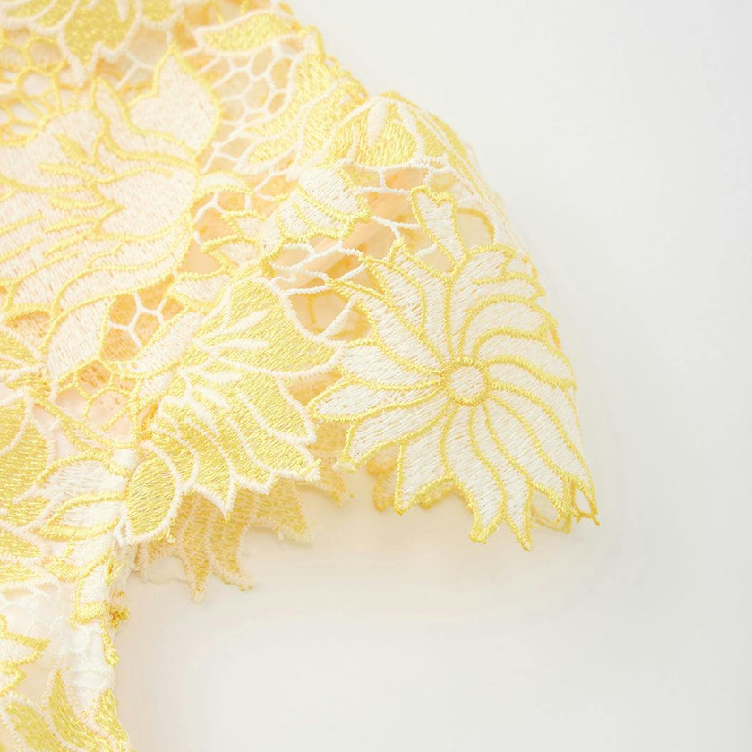 Cassandra Embroidered Mini Dress