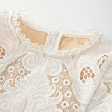 Celia Lace Mini Dress