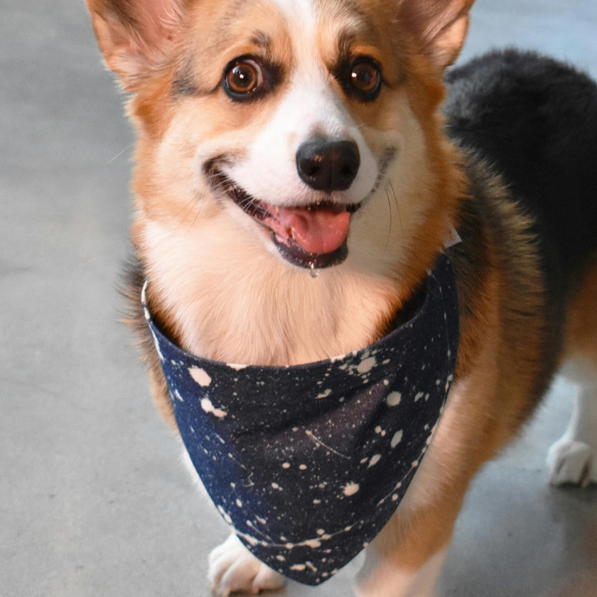Bandana, Blue