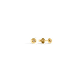 Twinkle Circle Studs - Standard