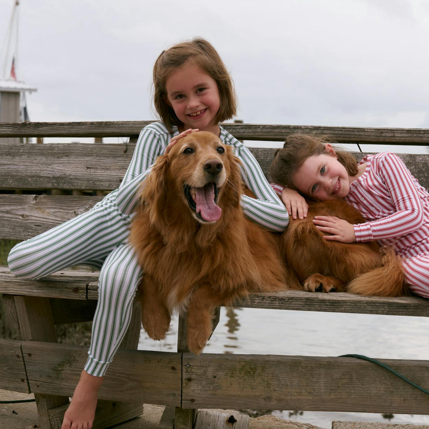 unisex boxwood ticking stripe pima pajamas set