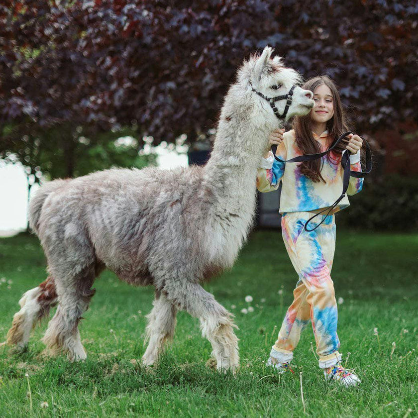 Be Happy Tie Dye Jogger Set