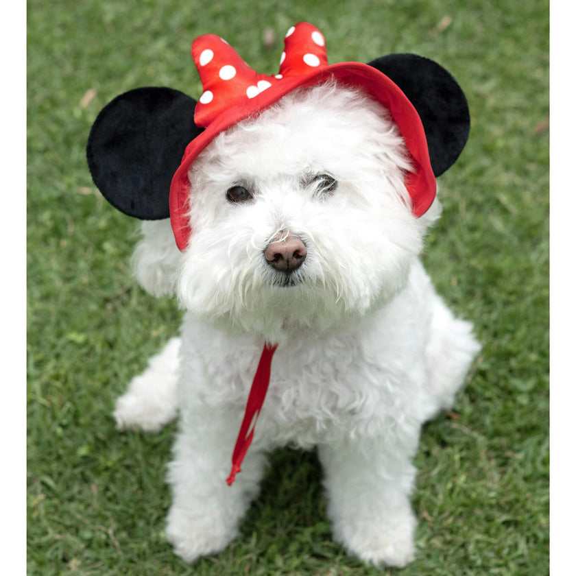 Disney Minnie Ears Uv Hat