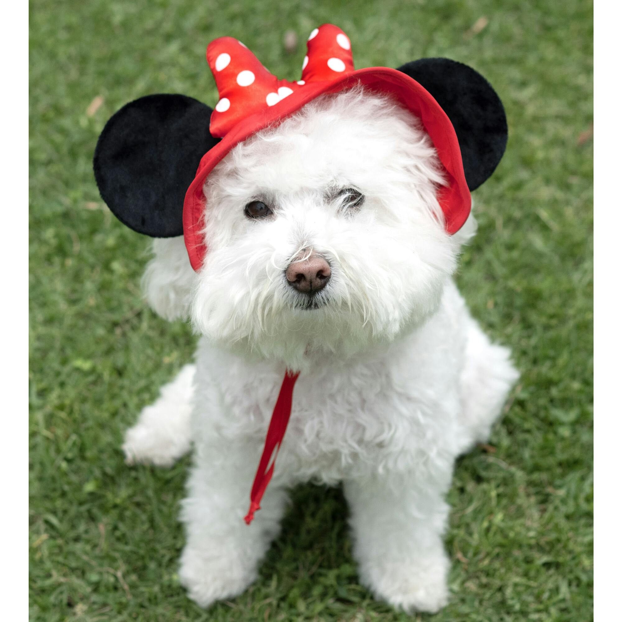 Disney Minnie Ears Uv Hat