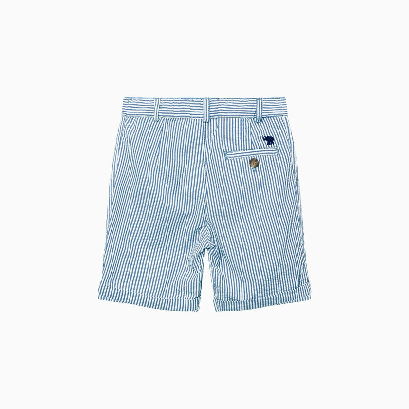 Charlie Chino Shorts in Blue Stripe