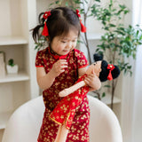 Chinese 'Mei' Cultural Doll
