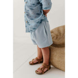 Boy's Everyday Shorts