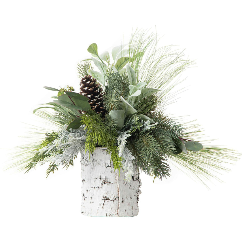 Mixed Winter Greenery & Pinecone Rustic Arrangement in White Birch Cylinder