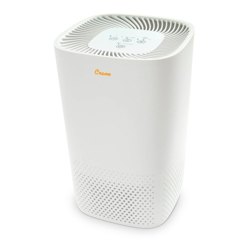 Air Purifier with True HEPA Filter - Up To 250 sq. ft.