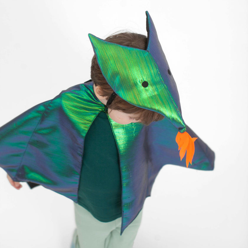 Dragon Costume