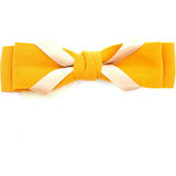 Andi Hairclip