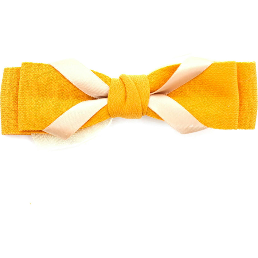 Andi Hairclip