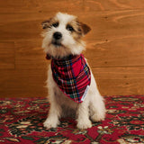 Red Tartan Plaid Dog Bandana
