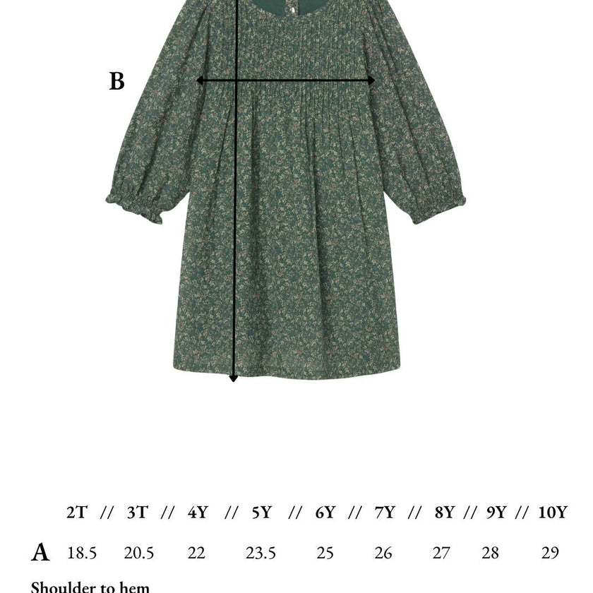 Charlotte Dress in Briar
