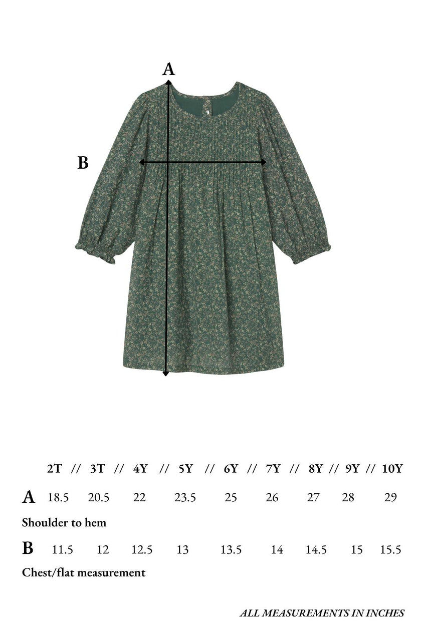 Charlotte Dress in Briar