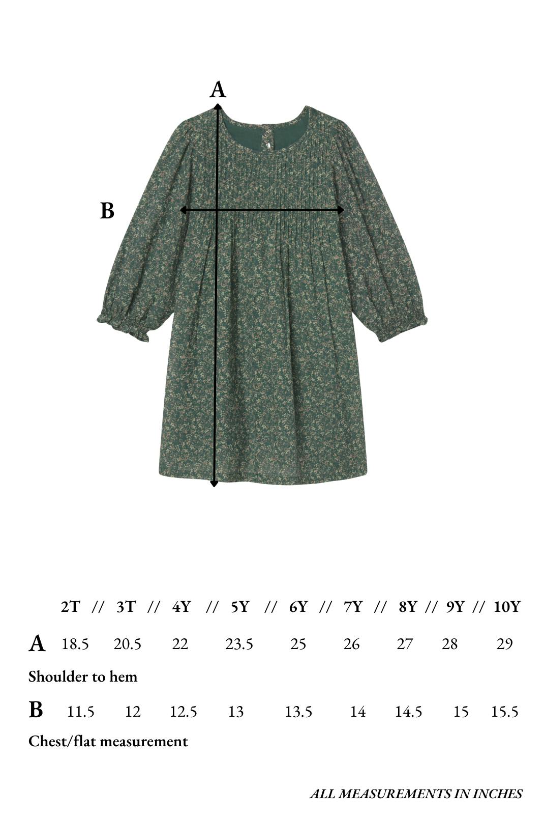 Charlotte Dress in Briar