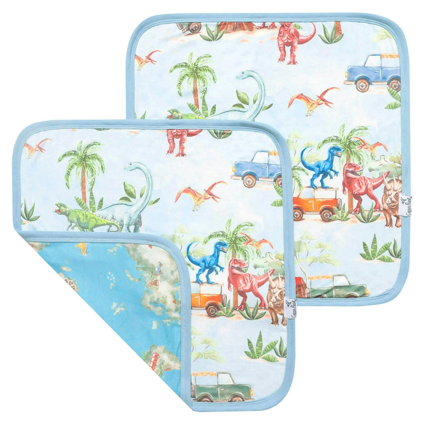 Three-Layer Security Blanket Set - Dino Explorer