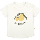 Organic Crew Neck Tee