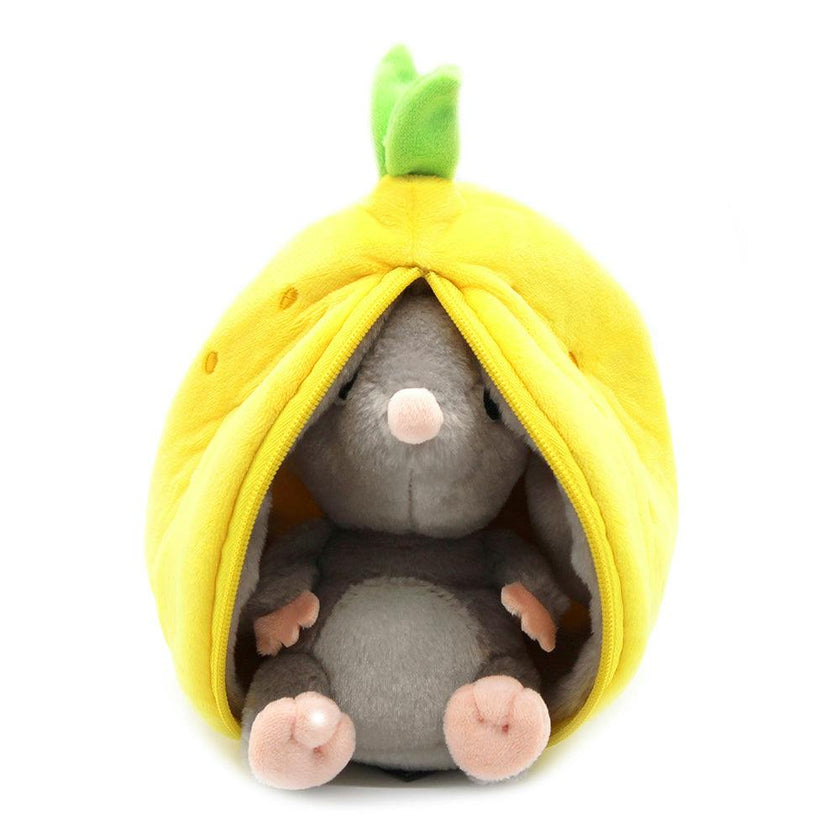 Rocket The Mouse/Lemon - Flipetz