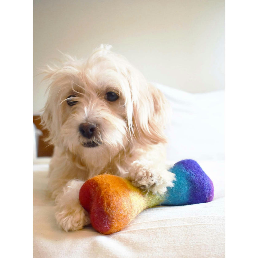 WOOL RAINBOW BONE, Multi