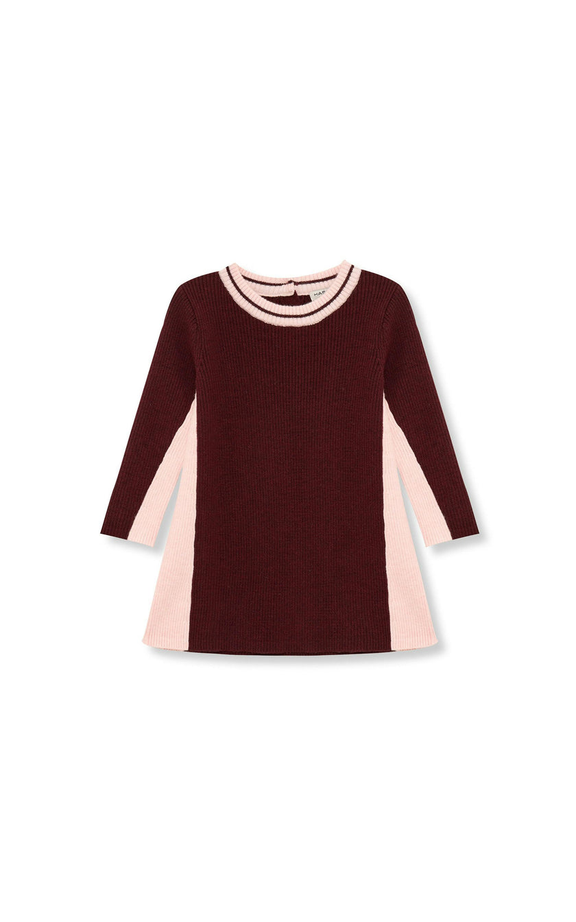 Colorblock Skater Dress (2T-4T)