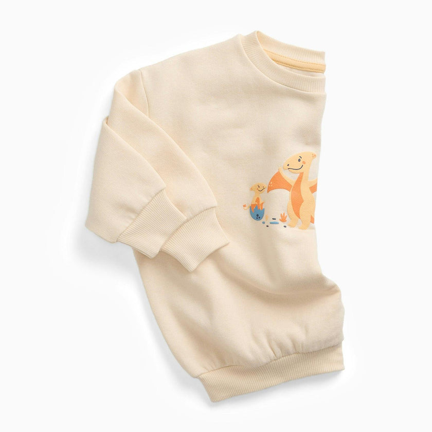Pterodactyl Dinosaur Oversized Sweater