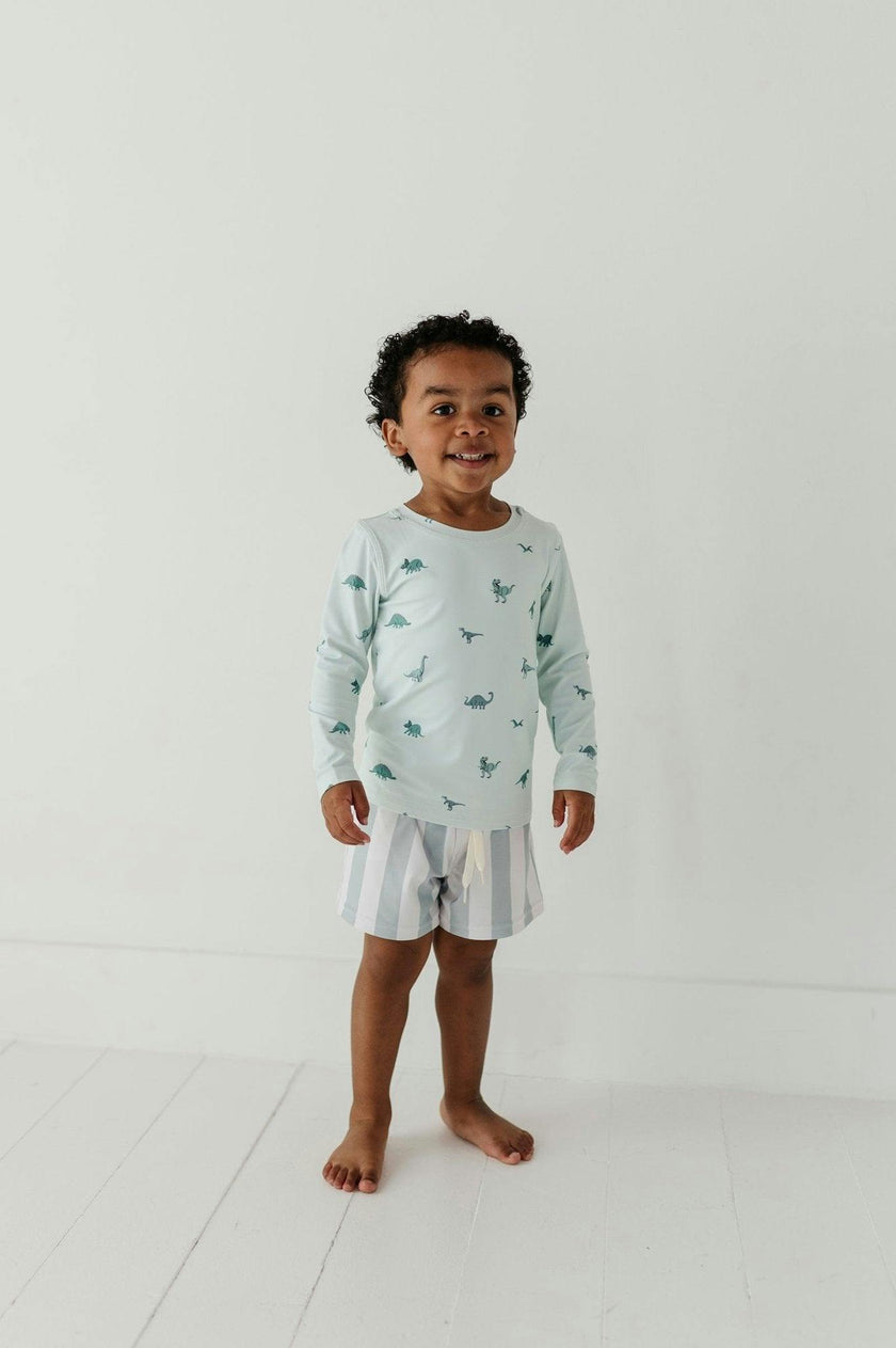 Boys Swim Shorts in Dinosaur
