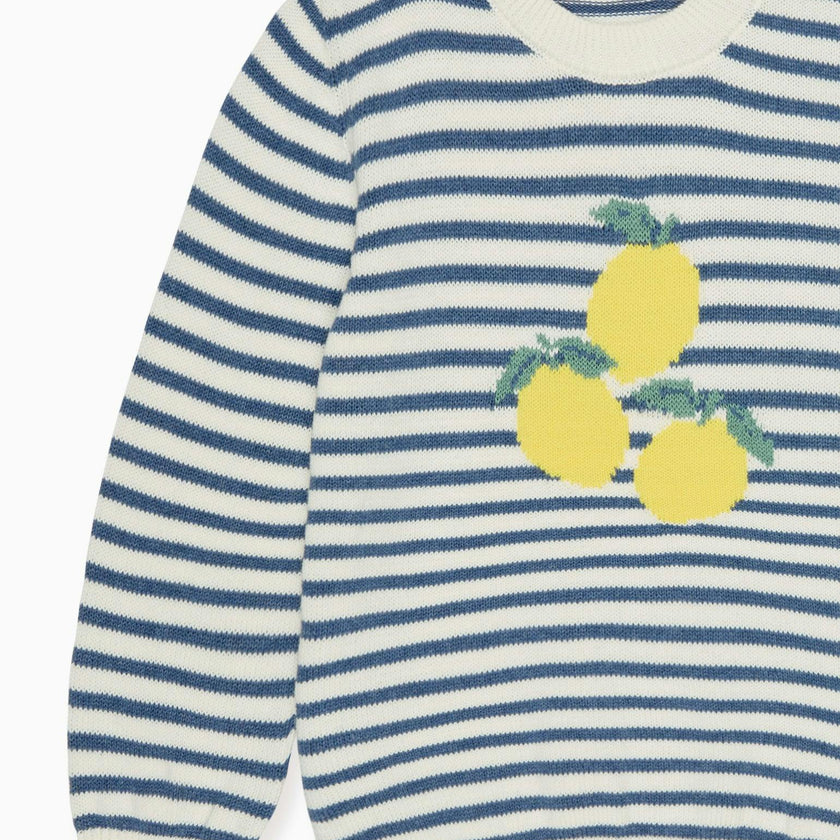 Blue Stripe Limon Cotton Boy Jumper