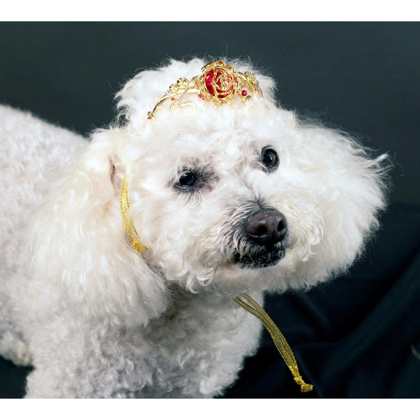 DISNEY BELLE METAL TIARA
