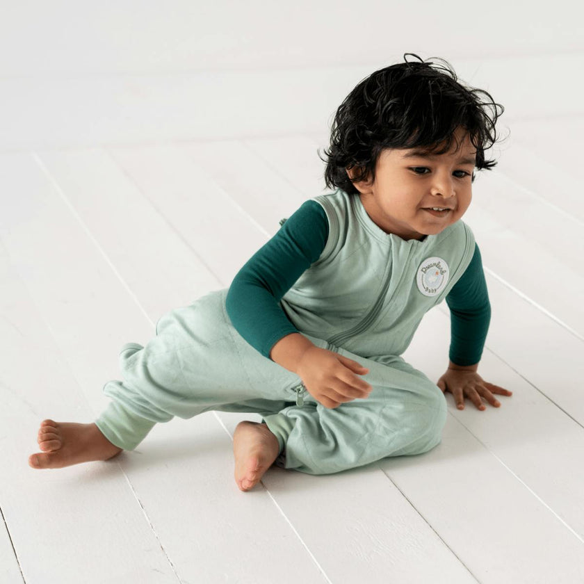 Sleep Sack Walker (Non-weighted)