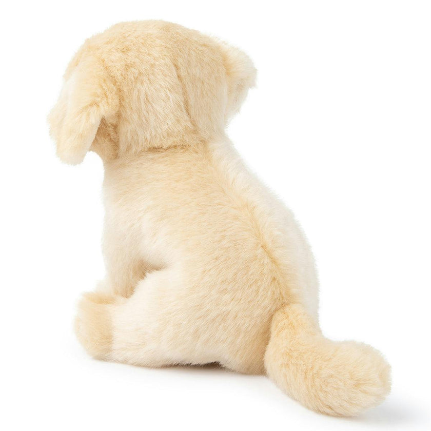 Plush BT CHAPS Loulou the Labrador ECO 7"