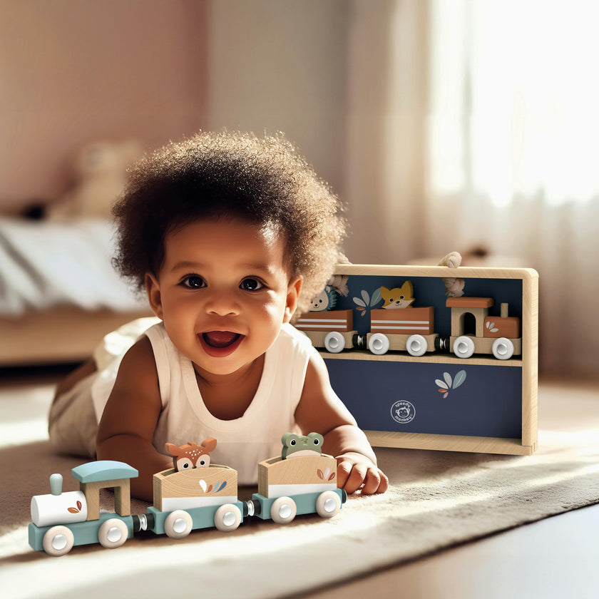 Train Set of 6 with Display Case