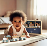 Train Set of 6 with Display Case