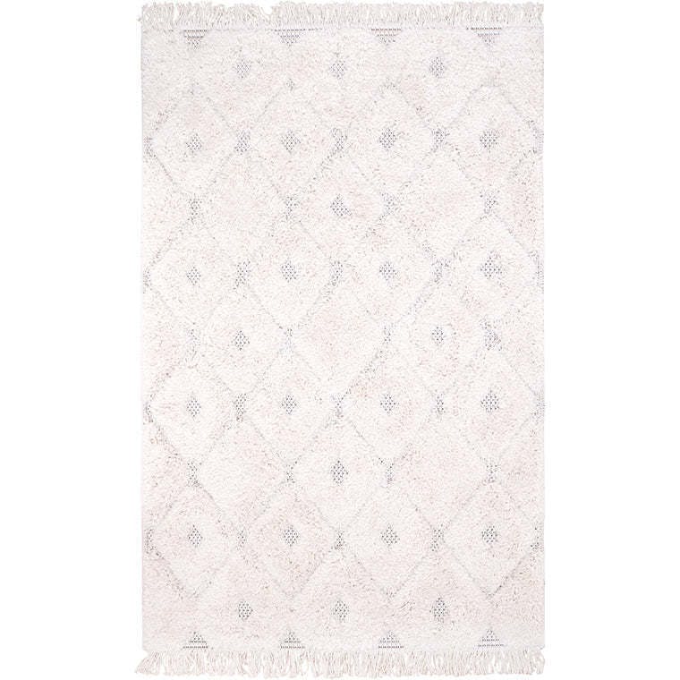 Homy Velvet Flat Woven Dotted Fringed Rectangular Rug