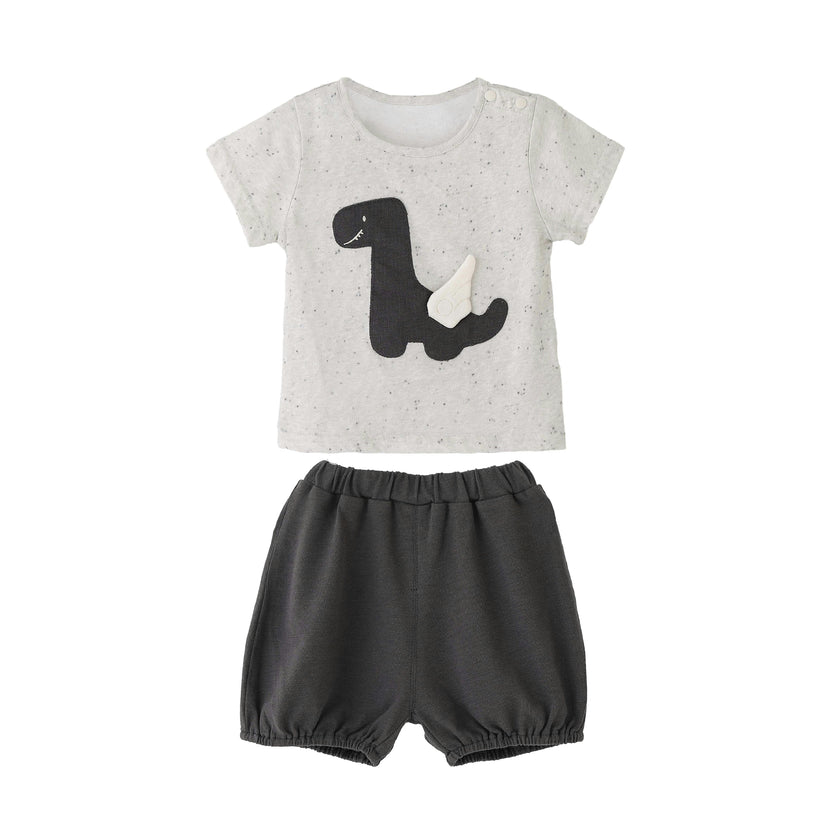 Gray Dino Dot Set