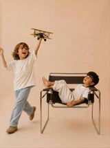 Little Forest Animals — The Aviator