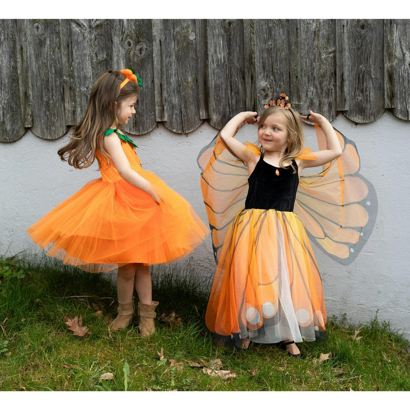 Butterfly Twirl Dress with Wings & Headband
