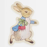 Peter Rabbit™ Reusable Plate