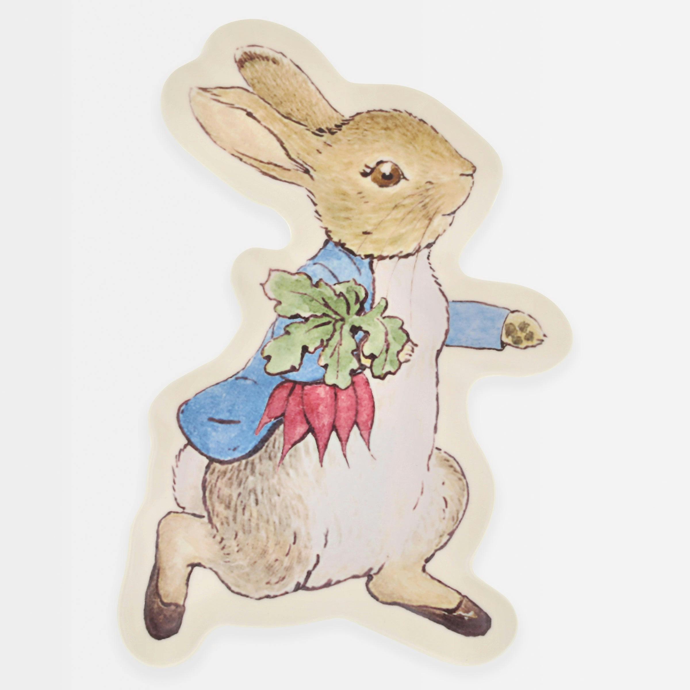 Peter Rabbit™ Reusable Plate