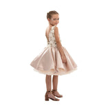Beige Ashler Sequin Dress