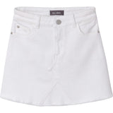 Jenny Mini Skirt | Palmetto Bay